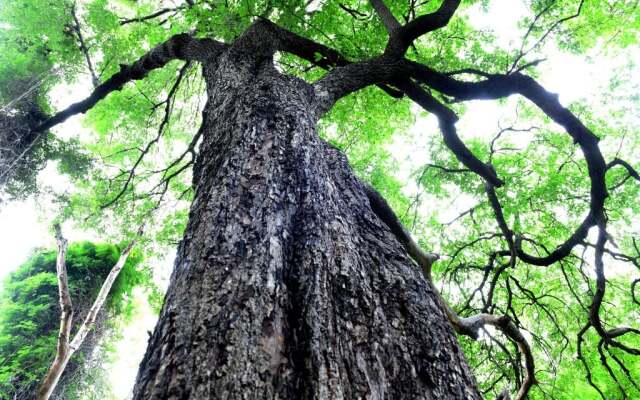 Шале The Hidden Valley