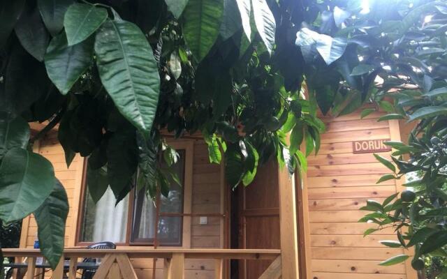 Halil Bungalow Villa