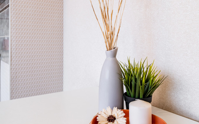 Квартира двухкомнатная Апарт-Отелика в шаговой доступности к парку Галицкого