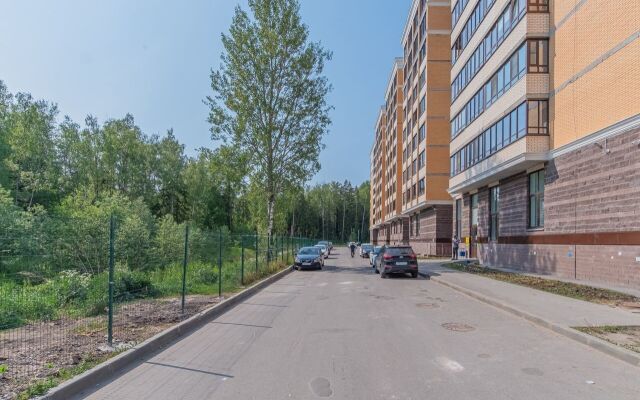 Studiya Na Mikhaylovskaya 51 Apartments