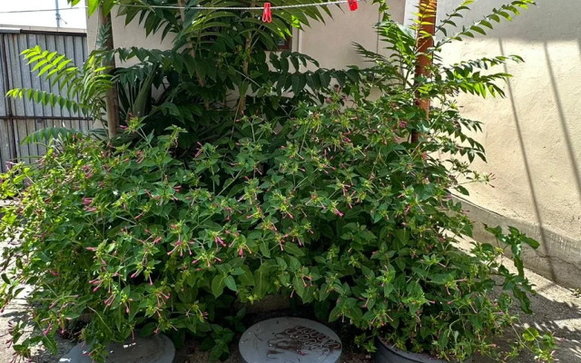 Morskoy Briz Private House