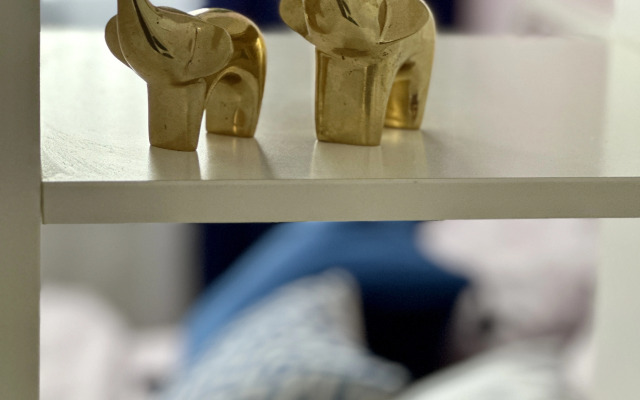 Апартаменты Стильная студия в 15 минутах от Шереметьево