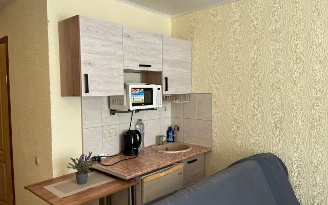 Viktoria Family Apartments