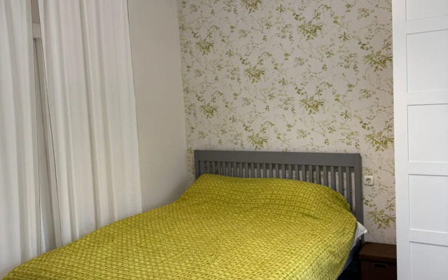 Квартира в центре Петроградки