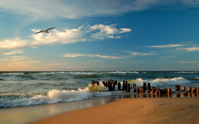 Квартира на Море