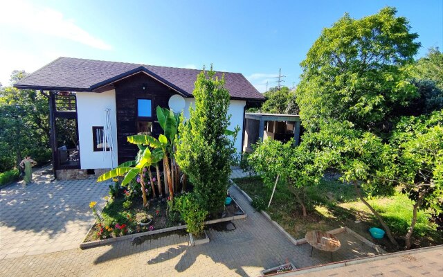 Tsitrus Guest house