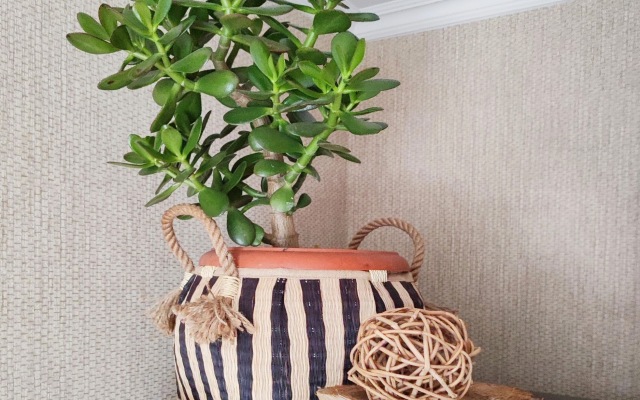 Апартаменты у Луизы