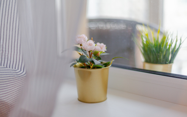 Апартаменты на Николая Симонова 17 в Кошелев Парке