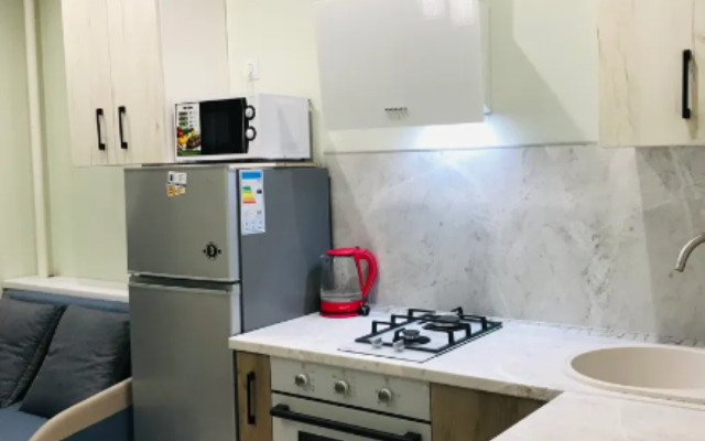 Na Bolshoy Okruzhnoy 2B/2 Apartments