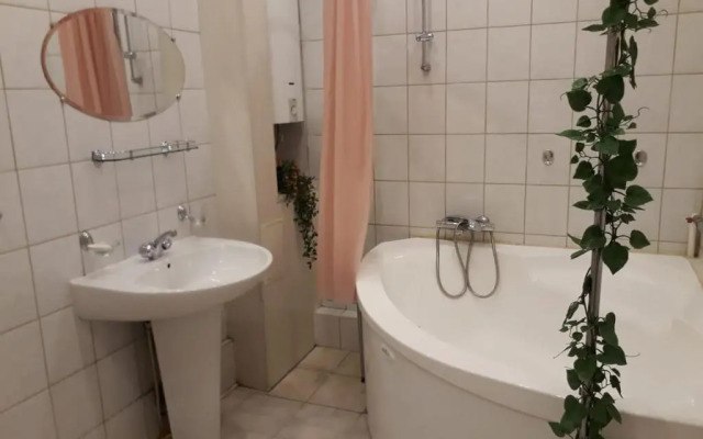 Апартаменты 1-комнатные апартаменты на Литейном