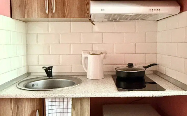 U Metro Pykhtino RK1 Apartments