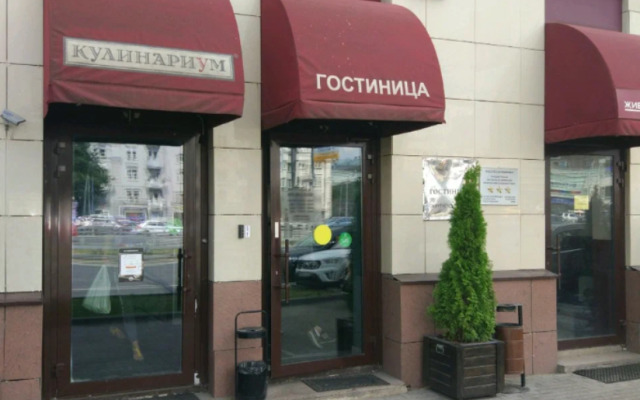 City otel