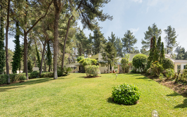 Coelo Shared Pool Sani Villa