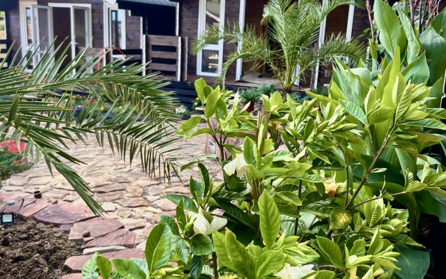 Flora Hotel