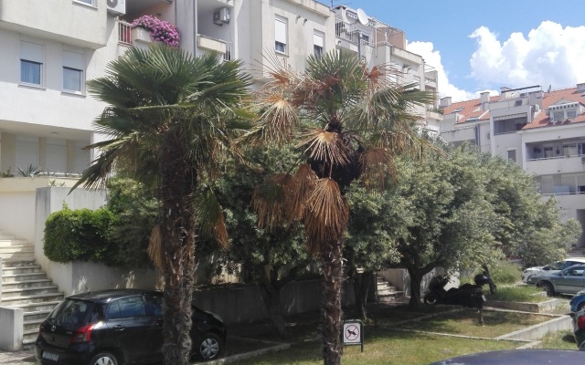 Marasovic - Maja Apartments