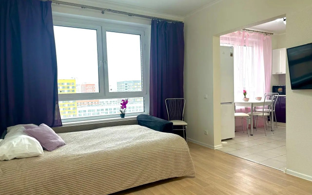 Prekrasnaya vidovaya kvartira Flat