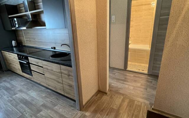 Апартаменты улице Партизана Железняка 53