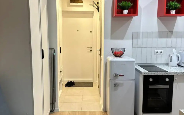 Studiya Okolo Ostrova Mechty I Parka Kolomenskoye Flat