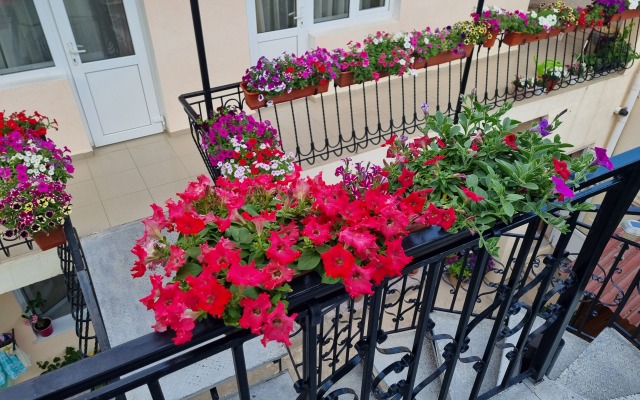 Faro Guest house