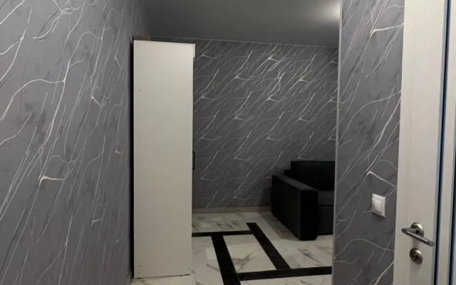 Studiya V Tsentre Goroda Ryadom S Zhd Vokzalom Flat