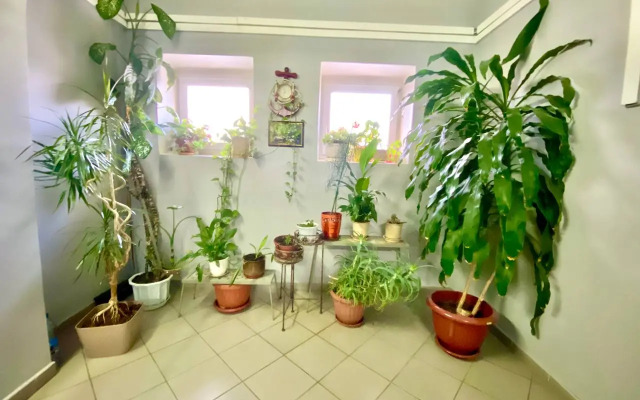 Dvukhkomnatnaya Okolo Gornogo Vozdukha Apartments
