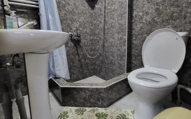 Частный дом Dmanisi 36