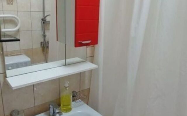2-komnatnaya v tsentpe Kirovskogo r-na Flat