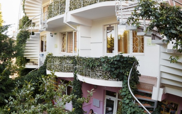 Letuchaya Mysh Hotel