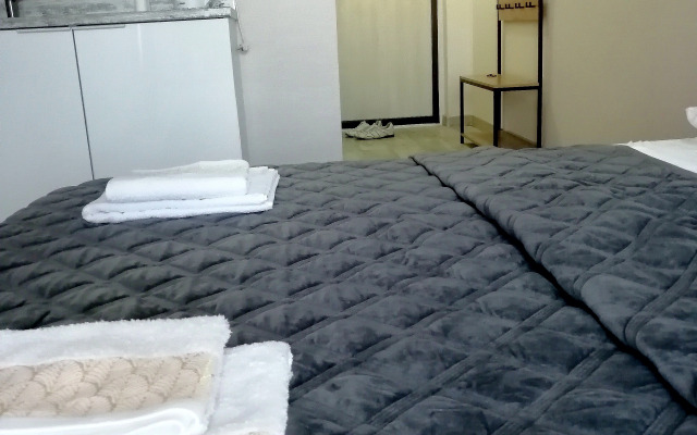 V Tsentre Goroda Apartments