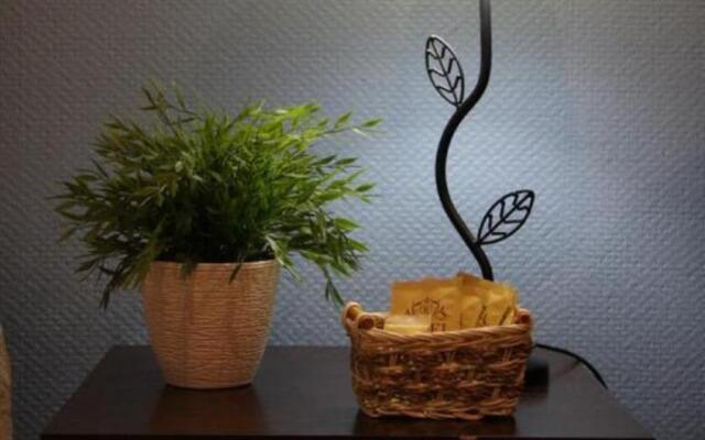 Say-House Mini-Hotel