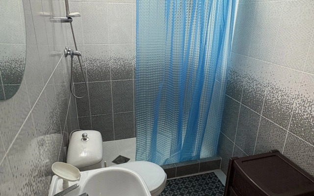 Zhelanny Gosty Guest house