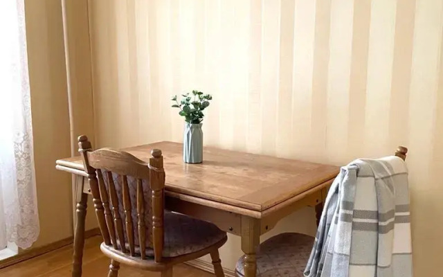 Servisnye apartamenty na prospekte Lenina Flat