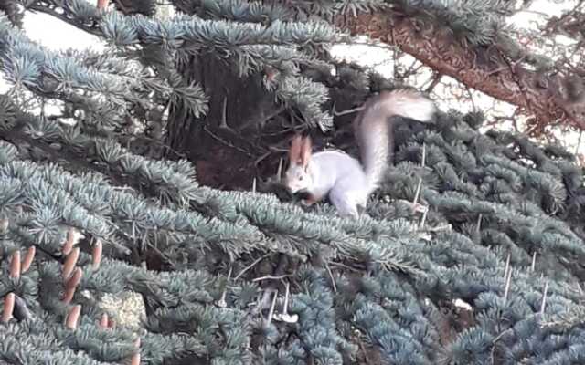 Апартаменты 2 У Приморского Парка