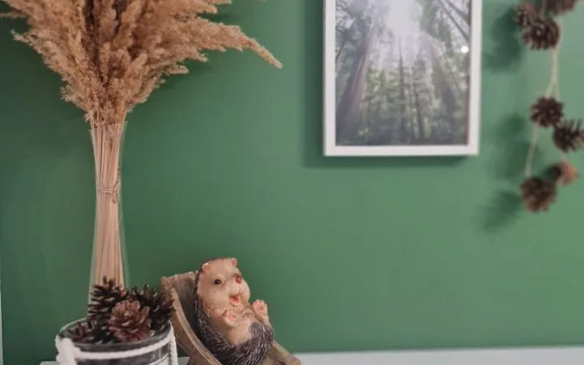 Квартира на Любови Шевцовой 51