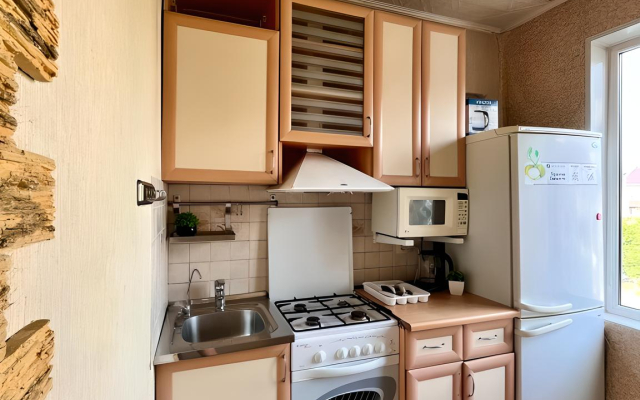 Апартаменты Однокомнатная квартира FANHOUSE