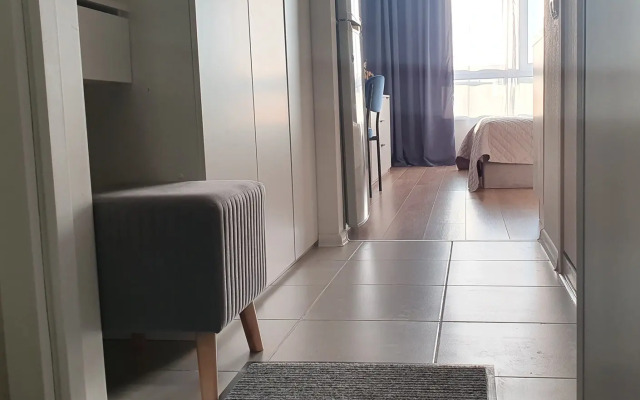 Studiya v sovpemennom rayone Flat