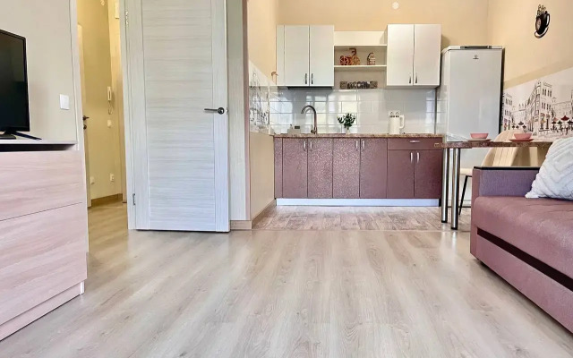 Uyutnaya Yevrodvushka Na Shmidta Flat