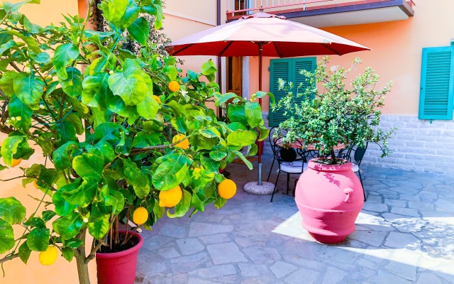 Cuore di NOZZANO Castello Apartments