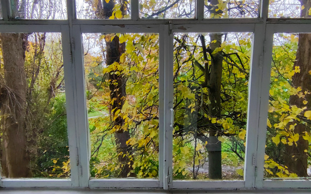 Квартира У липы