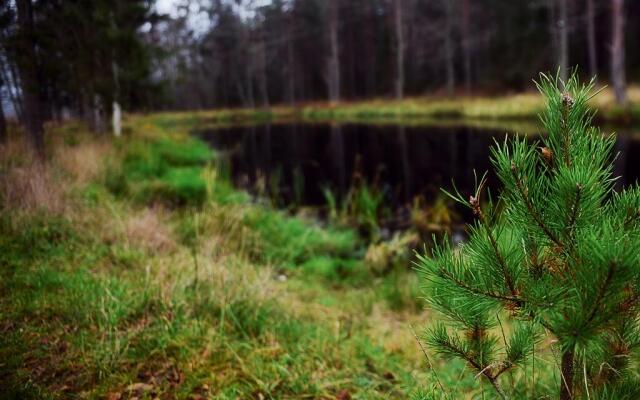 База отдыха  Вселуг