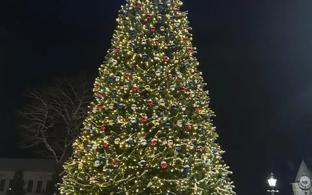 Частный дом Городская усадьба Ростов Великий