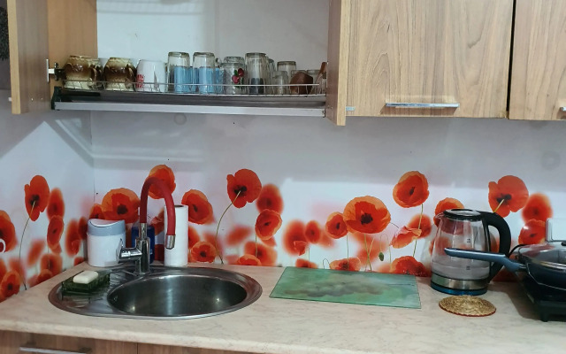 V Starinnom Osobnyake  voskresenskaya - Pamyatnik Provintsialnogo Klassitsizma Flat