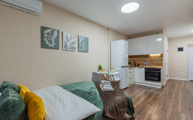 Квартира Уютная студия с видом на колесо обозрение Одно небо