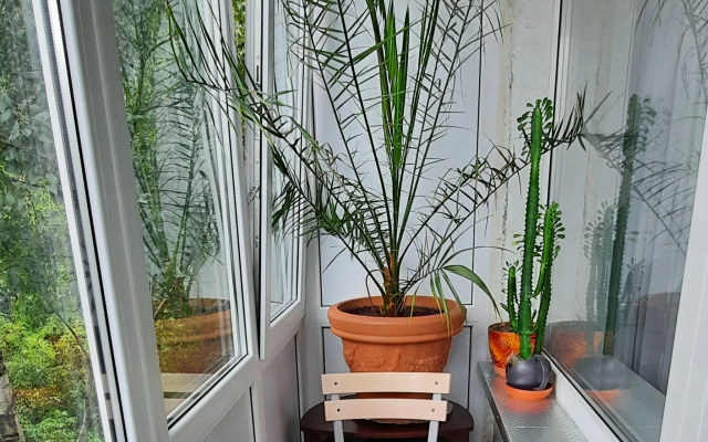 S Remontom V Tsentre Kaliningrada Flat