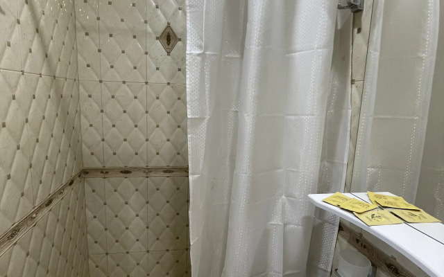 Anita v tsentre Sochi Apartments 1