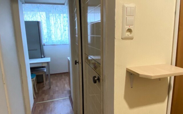 Uyutnaya Svetlaya Apartment