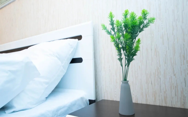 Apartments Cosmos Apart Na Revolyutsii 52 V (2)