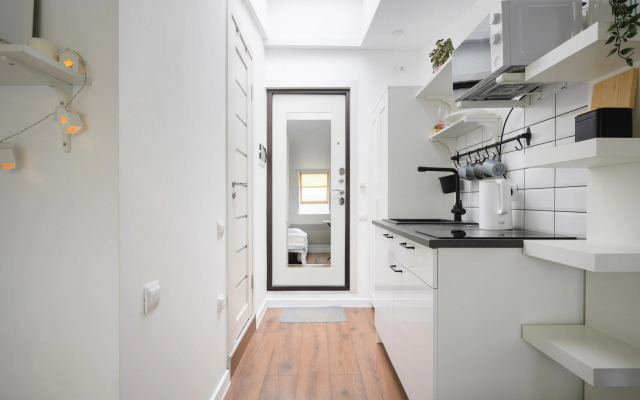 Квартира Студия в мансарде с видом у метро Чернышевская