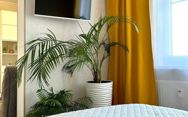 Gorgyippia Flat