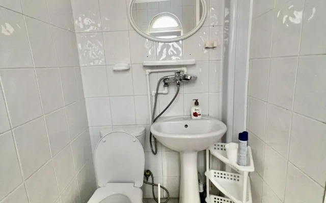 Апартаменты Адлер Чкалова д 42/1 № 10 Альфагид